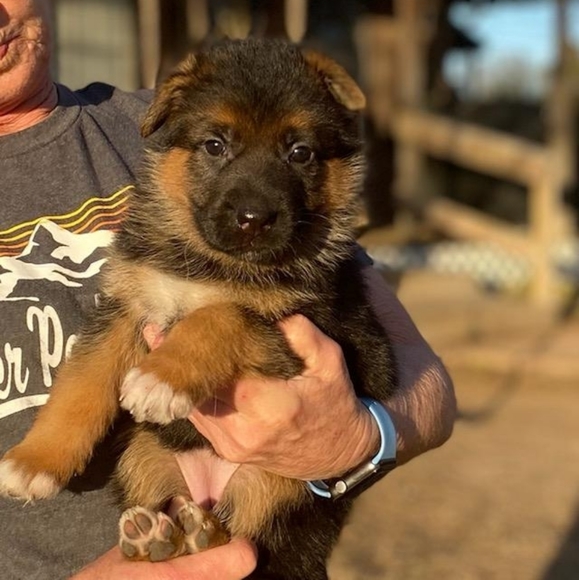 Meet your Posher, Wendy - Picture 4 of 9